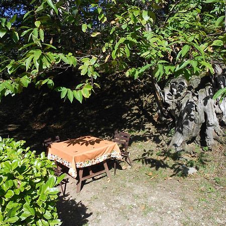 Fattoria Il Praticino Villa Castelfranco di Sopra Екстериор снимка