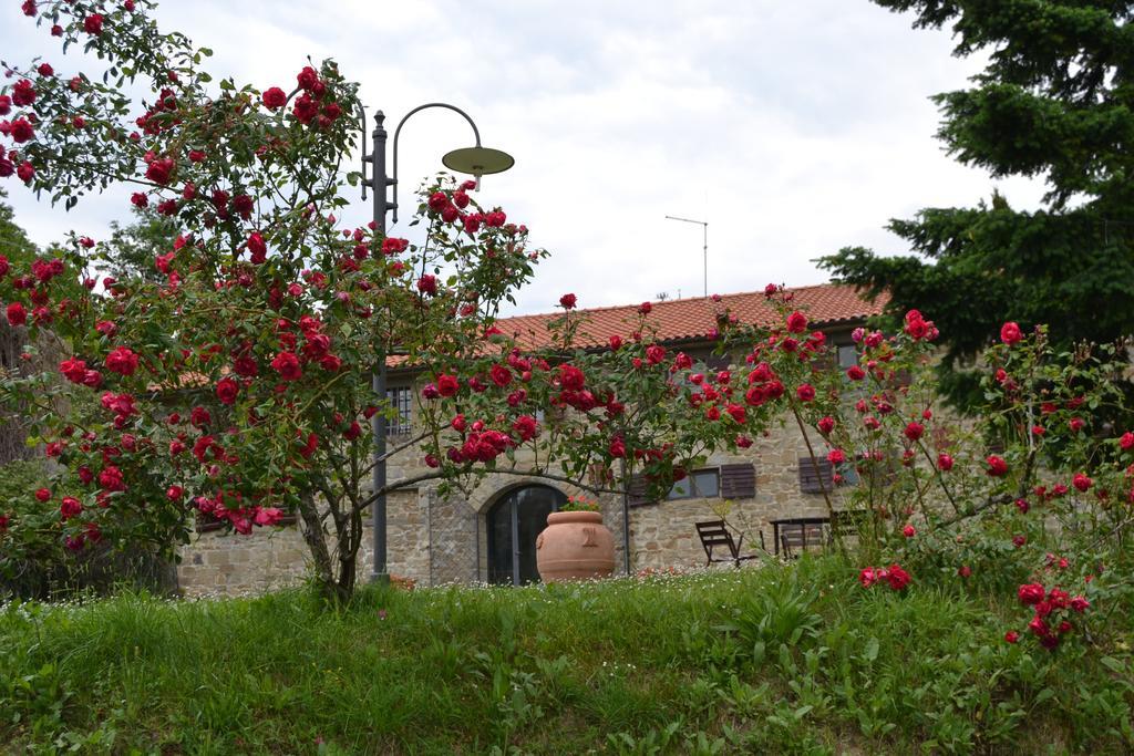 Fattoria Il Praticino Villa Castelfranco di Sopra Екстериор снимка