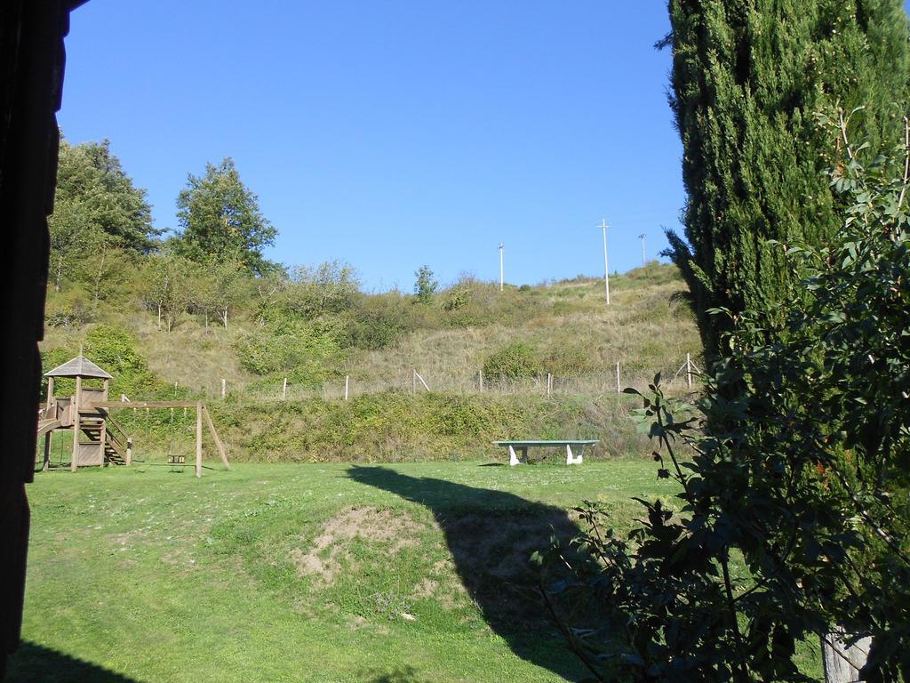 Fattoria Il Praticino Villa Castelfranco di Sopra Екстериор снимка